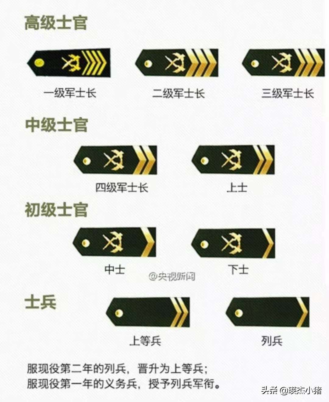 国防肩章军衔图解图片