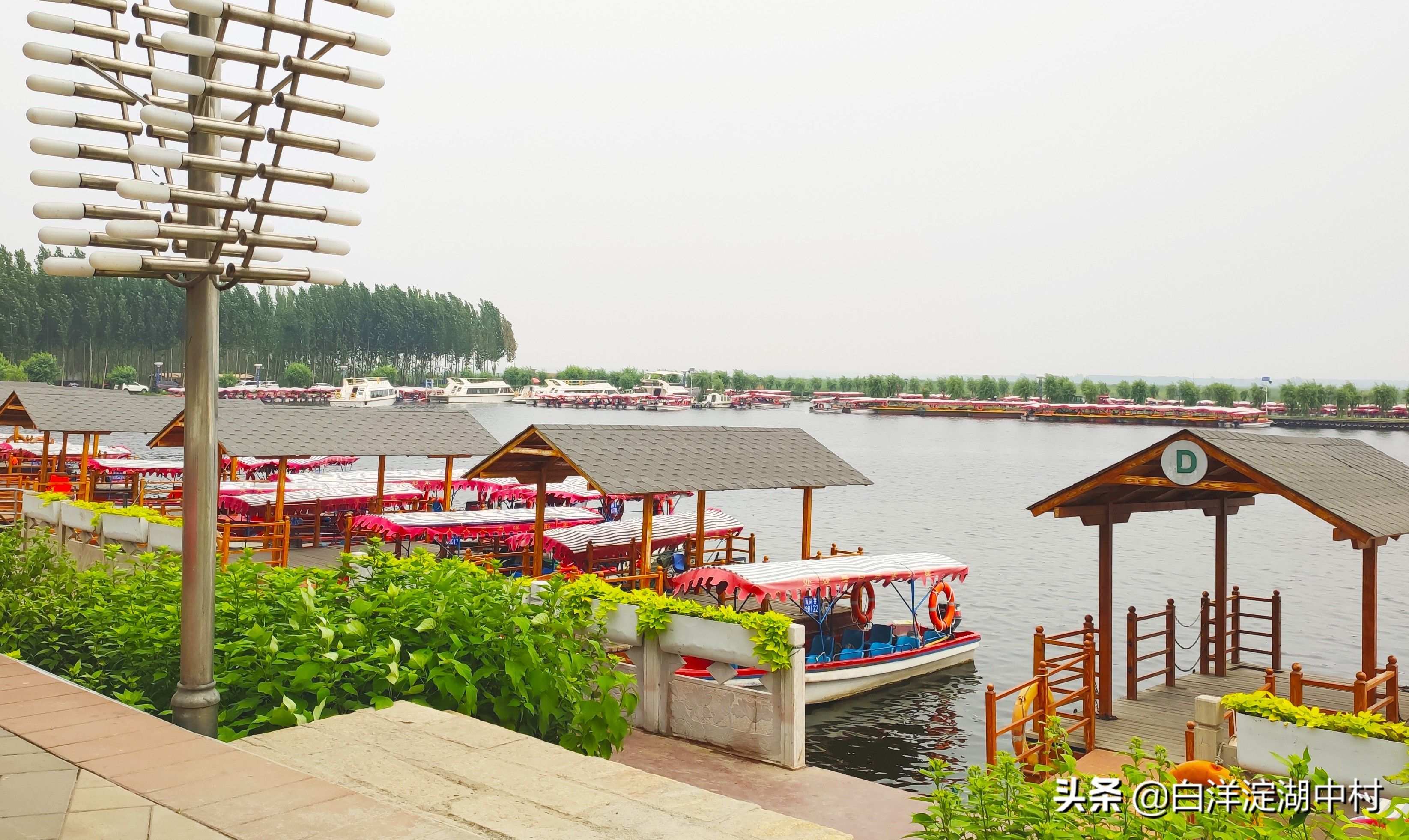 2020年白洋淀景区自驾游旅游完全攻略,吃住玩路线,省钱避坑指南
